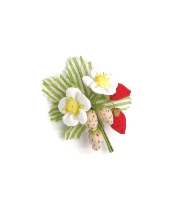N°215 FLEURS BAISERS FRUITS